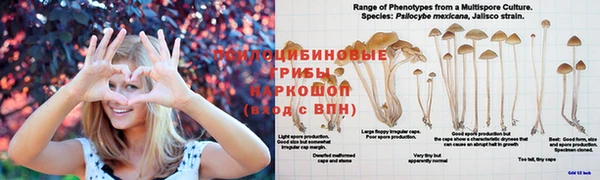 дживик Медногорск