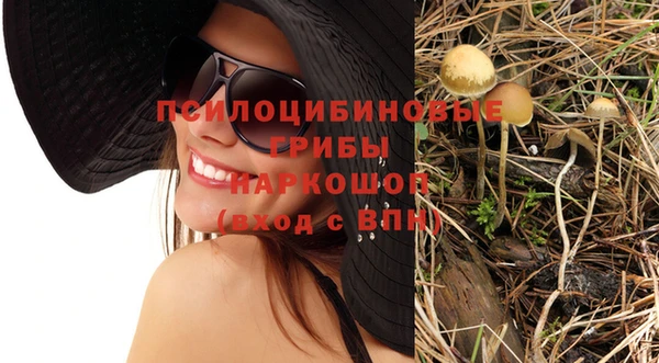 прущая мука Магас