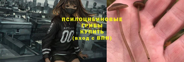 дживик Медногорск