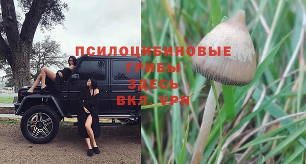 мет Медвежьегорск