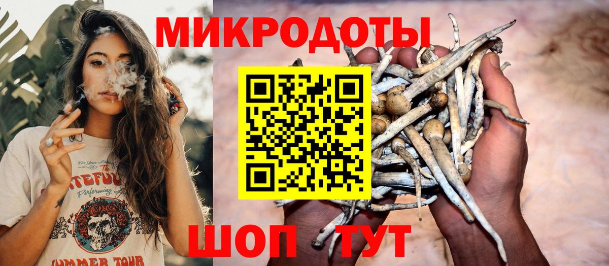 Кандалакша  Псилоцибиновые грибы мицелий  Вход с VPN 