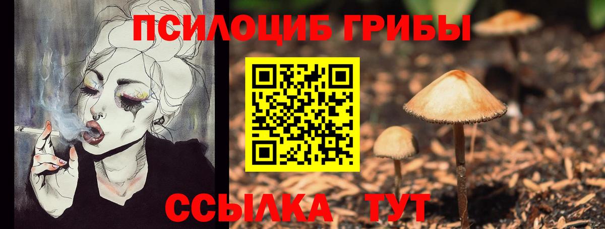 Псилоцибиновые грибы ЛСД Кандалакша